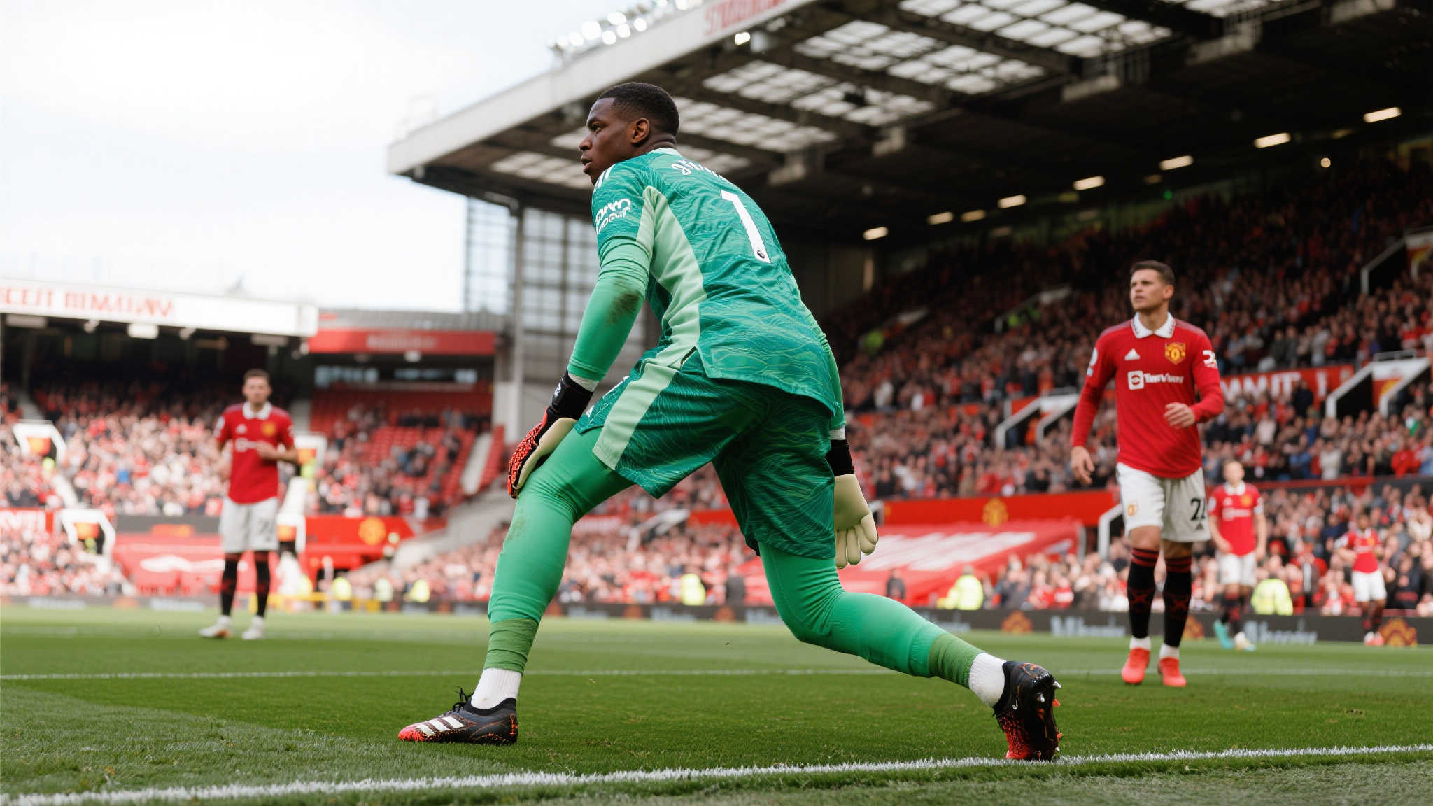 超增添了更 超增添了更